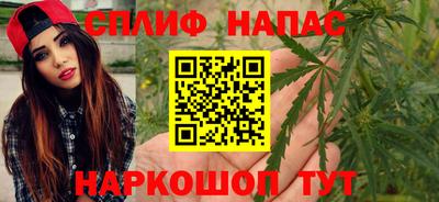 меф Гатчина