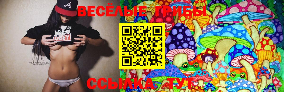 Белебей  Псилоцибиновые грибы ЛСД  купить закладку  Галлюциногенные грибы Psilocybine cubensis  Вход с VPN 